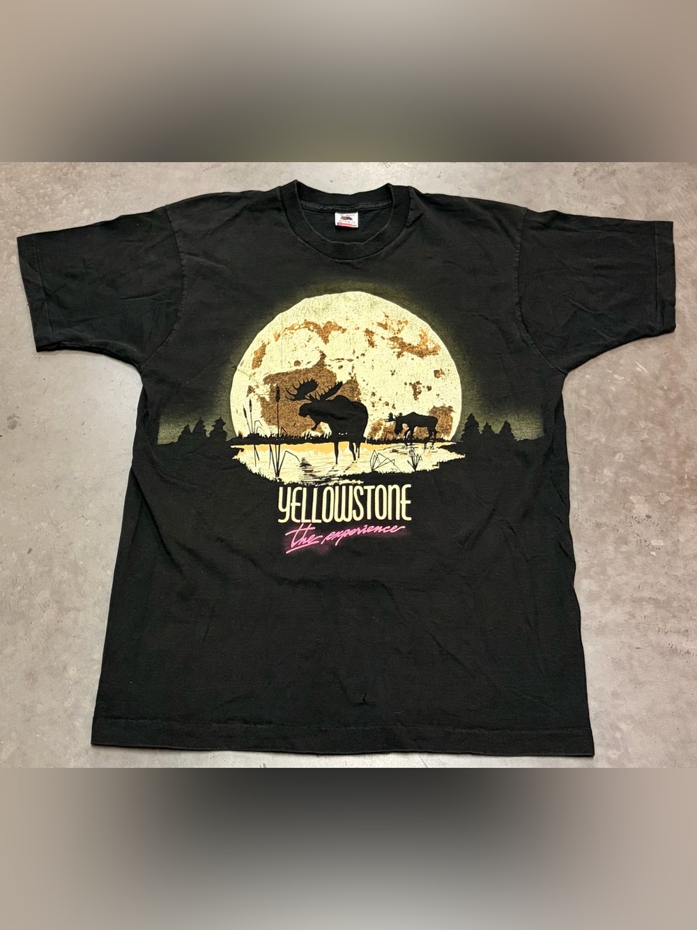 Fruit of the Loom Black Yellowstone Graphic Tee with Moon and Wildlife